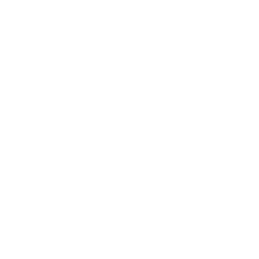 Limited Liability Protection